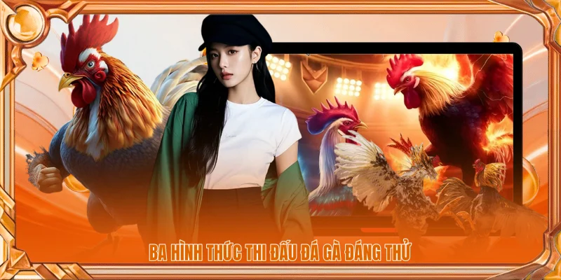 Ba hình thức thi đấu đá gà đáng thử