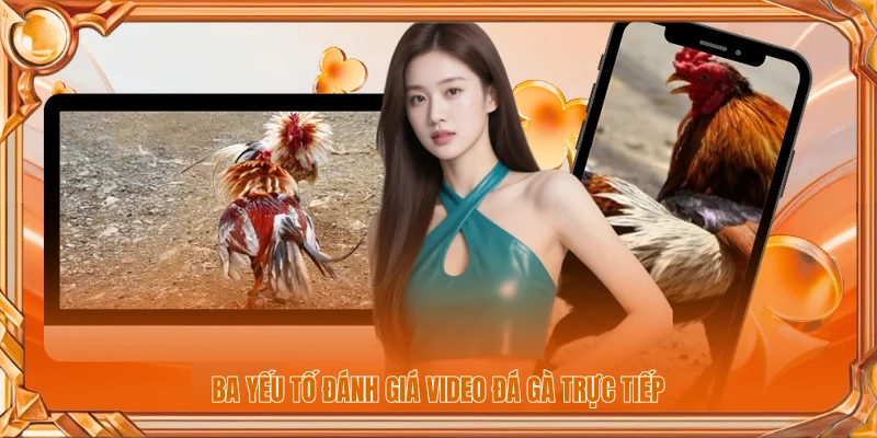 Ba yếu tố đánh giá video đá gà trực tiếp