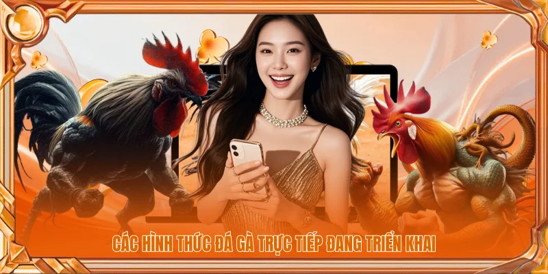Các hình thức đá gà trực tiếp đang triển khai