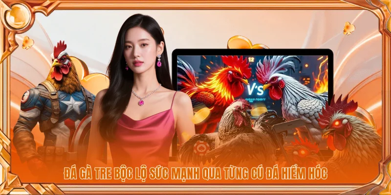 Đá gà tre bộc lộ sức mạnh qua từng cú đá hiểm hóc