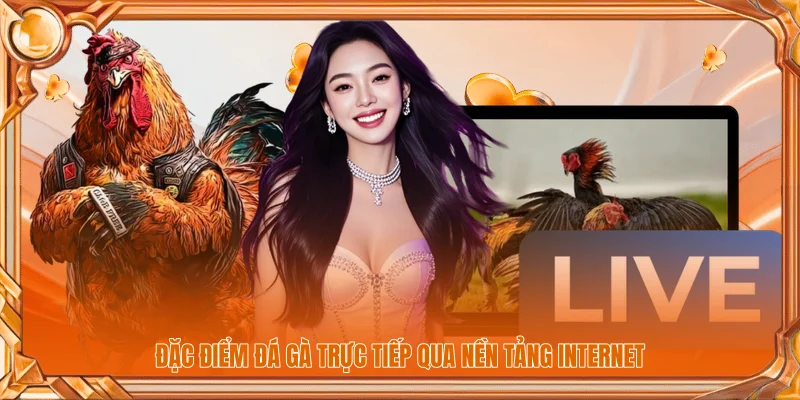 Đặc điểm đá gà trực tiếp qua nền tảng Internet 