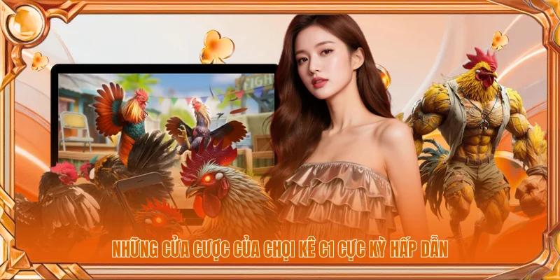 Những cửa cược của chọi kê C1 cực kỳ hấp dẫn
