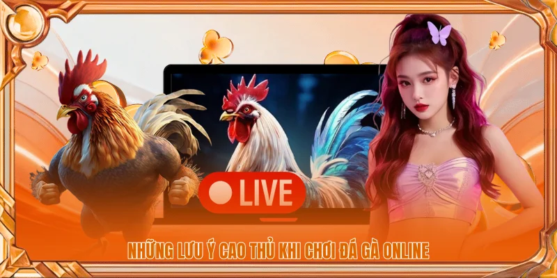 Đá Gà Online | Những Đặc Điểm Và Những Điều Cần Biết 3 Những lưu ý cao thủ khi chơi đá gà online