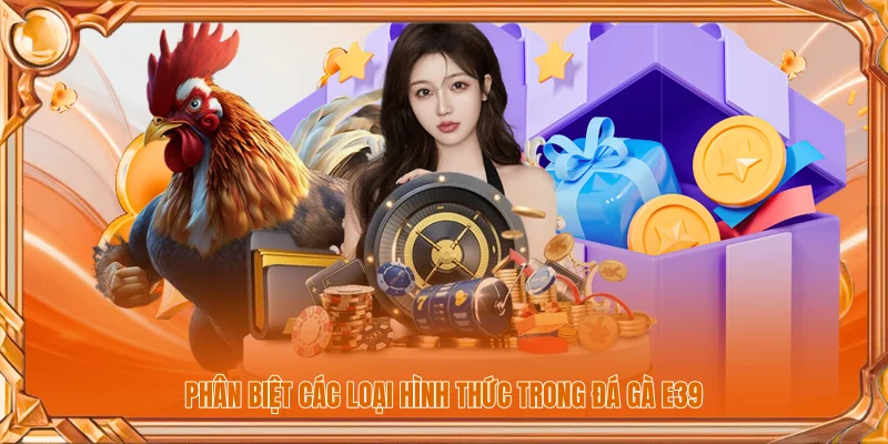 Phân biệt các loại hình thức trong đá gà E39