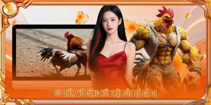 Ưu điểm vô cùng nổi trội của đá gà C1